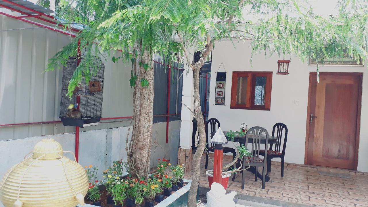 Villa 67 Negombo Dış mekan fotoğraf